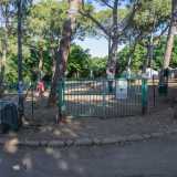 A Carrassi sono presenti due grandi aree di sgambamento: una creata nel 2020 all�interno del Parco 2 giugno, la seconda inaugurata nel 2023 in una zona del Parco Rossani. La prima � probabilmente la pi� ospitale di tutta la citt�
